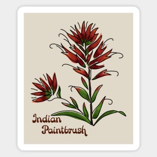 Indian Paintbrush Magnet